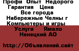 Профи. Опыт. Недорого. Гарантия › Цена ­ 100 - Все города, Набережные Челны г. Компьютеры и игры » Услуги   . Ямало-Ненецкий АО